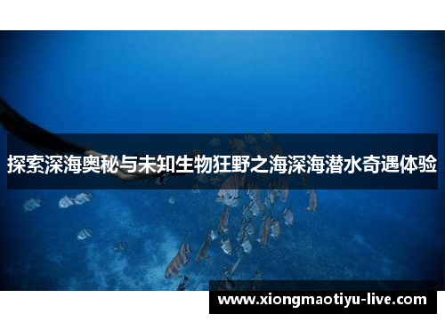 探索深海奥秘与未知生物狂野之海深海潜水奇遇体验